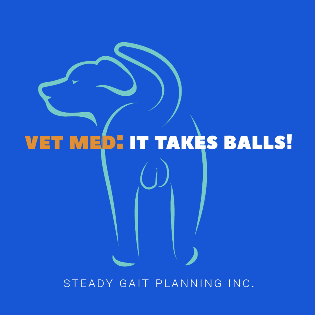 Vet Med: It Takes Balls! T-Shirts