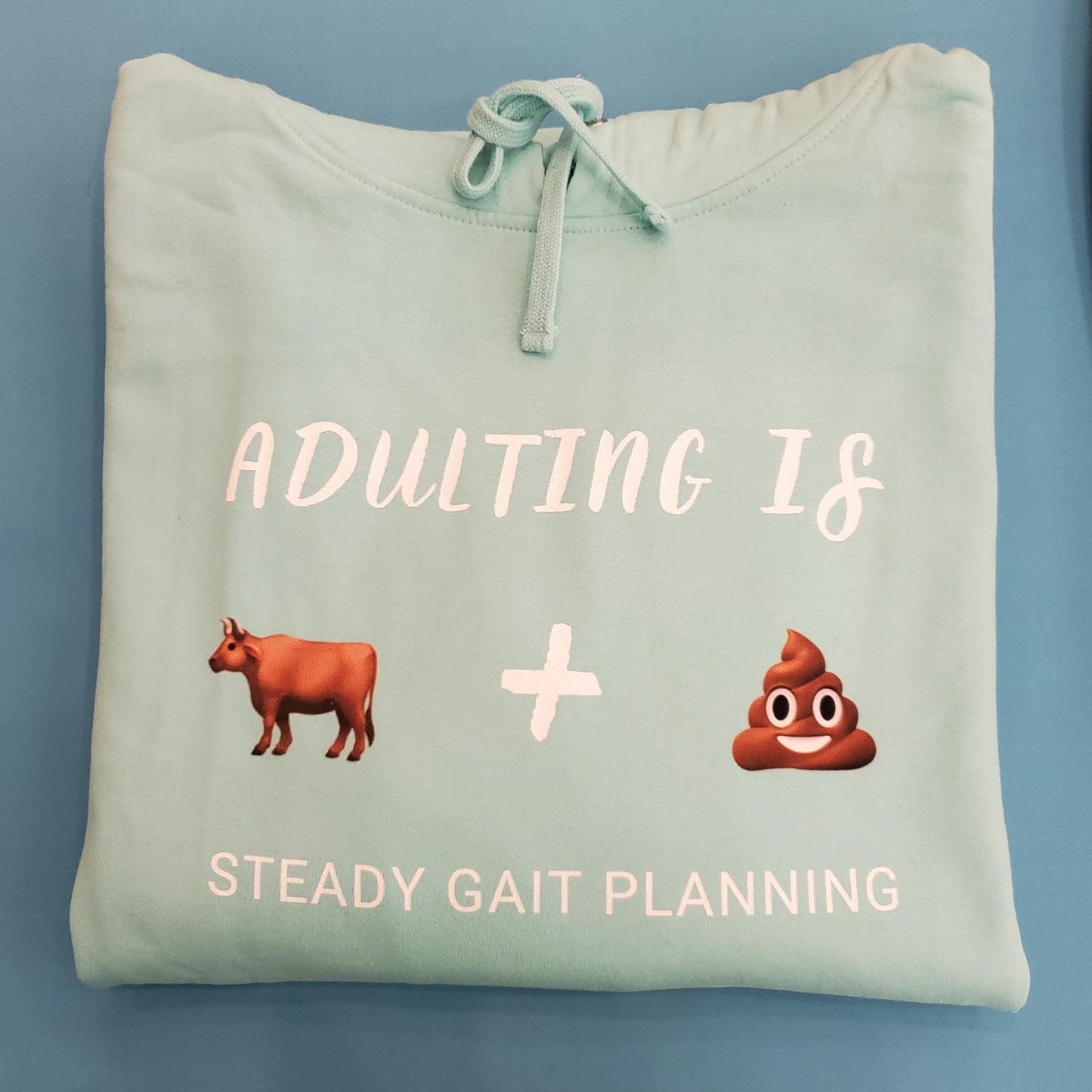 Adulting is Bulls**t Hoodie