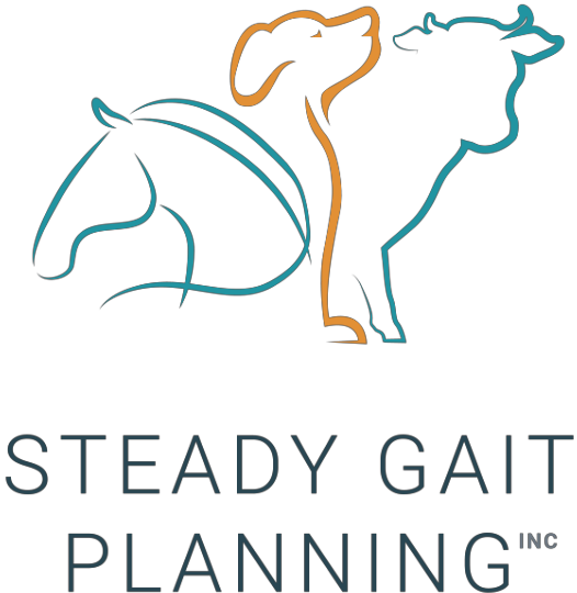 Steady Gait Planning Logo - made up of a delicate outline of a horse, dog, and bull with Steady Gait Planning Inc underneath